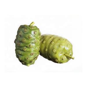 Noni juice powder / Noni Fruit Powder / noni extract