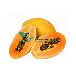 Papaya powder / papaya juice powder for food industry