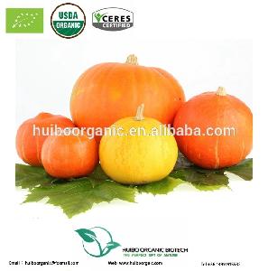 Organic Dehydrated Pumpkin Powder / granule