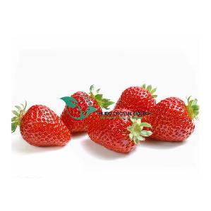 FD Strawberry powder / FD Strawberry granule