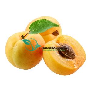 Wholesale Apricot powder /  instant apricot powder