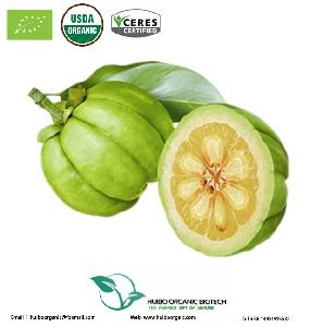 Pure Garcinia Cambogia Extract Hydroxycitric Acid HCA 60%