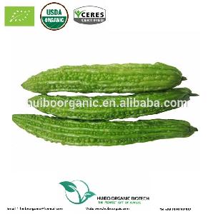 organic bitter melon / dried bitter gourd / bitter melon extract