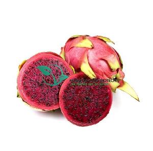 FD organic dragon fruit powder red / white wholesale with best price