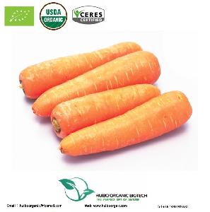 Carrot extract 100% water soluble  natural   beta   carotene  1%, 30%