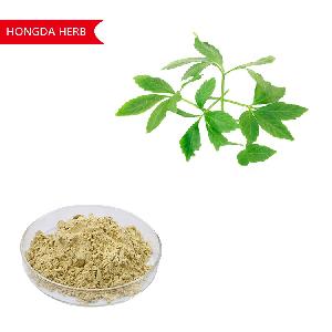 HONGDA 40% 60% 98% Pentaphyllum  Gynostemma   Extract   Gypenoside 