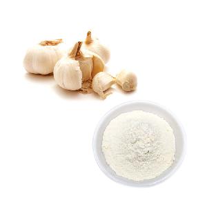 HONGDA Factory Supply Garlic Powder India Price Garlic Powder