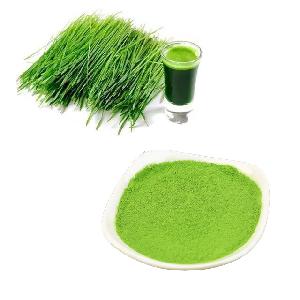 HONGA Supply 100% Water Soluble Wheatgrass Juice Powder Grass Organic Wheatgrass Powder
