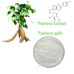 HONGDA Supply Pueraria Mirifica Extract , Kudzu Root Extract  Puerarin 99% HPLC