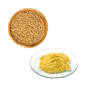 HONGDA Supply Pure Saponins Fenugreek Seed Extract Fenugreek Seed Powder