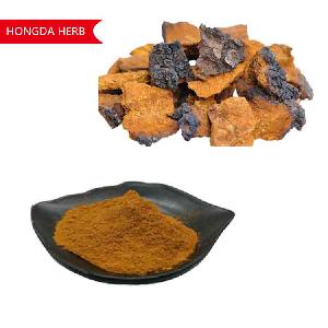 HONGDA Factory Supply Chaga Mushroom Extract Powder 100% Herb Natural Extract 10:1