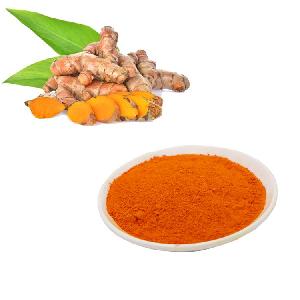 HONGDA Supply Hight Quality Curcumin Extract Powder Curcumin 10% with best water soulbe