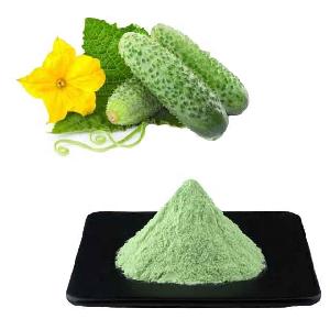 Wholesales Instant Cucumber Juice Powder Cucumber Concentrated Powder