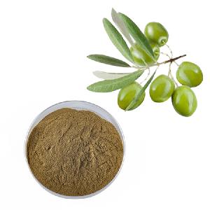HONGDA  20 % 40% Olive Leaf Extract Powder  Oleuropein  98%