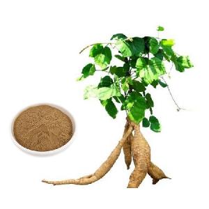HONGDA Supply Pueraria Mirifica Extract Powder