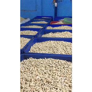 2019 cheapest cashew  nut   cashew  nut  price  cashew  nut   machine 
