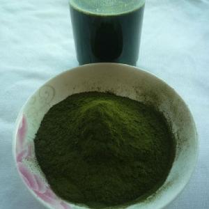 Wheatgrass Powder Natural Wheat Grass Powder Organic Wheat Grass Powder