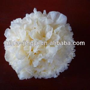 Dried white fungus/tremella/white fungus/silver ear