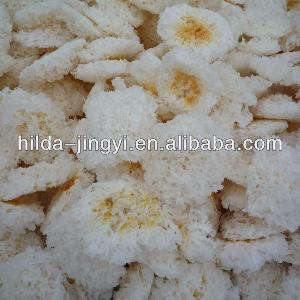 Snow white fungus