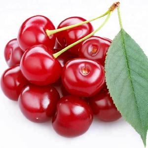 Instant cherry powder for energy drink