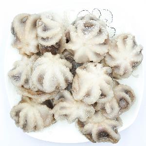 The Delicious Frozen Octopus Wholesale Frozen Baby Octopus