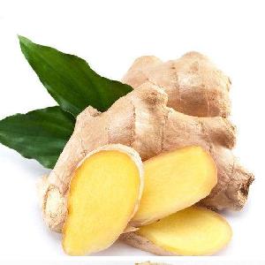 Hot Sale New Crop Chinese Large Size Fresh Air Dry Ginger