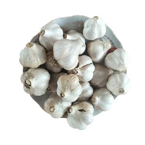 For Sale Chinese Fresh Garlic in Bulk Pure White Garlic
