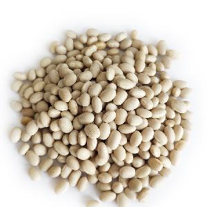 Wholesale Chinese Low Price White Navy Kidney Beans