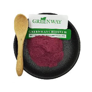 Factory Supply High Quality Elderberry P.E./Pure Natural Elderberry  Extract Powder 20:1 Powder for Beverage Applications