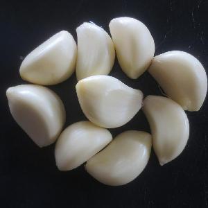 Wholesale products natural peeled garlic price