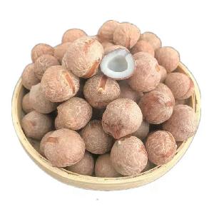 Mini Coconut Soup Ingredients Natural Shelling Coquito Nuts for Sale