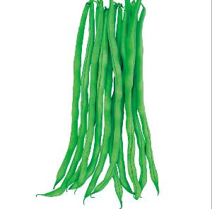 Factory Supply Gluten and Fiber Free Green Bean Pole Bean Seeds for Planting