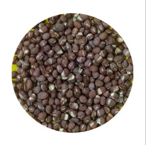 Factory Supply Export Quality Standard Freeze Dried Red Bean/Adzuki Bean/Vigna Angularis