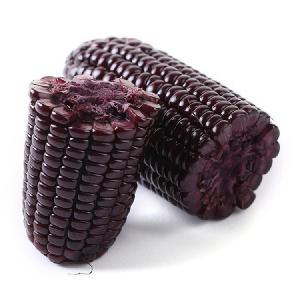 Chinese Hybrid Purple/Red/ White/black Waxy Corn Maize Seeds For planting