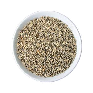 Factory Supply Pearl Millet Seeds