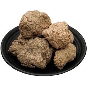 Authentic Wild Large Size Lignosus Rhinocerus/Tiger Milk Mushroom Slices for Sale