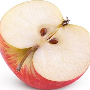 Factory Supply Japanese Fuji  Apple   Tree  Seeds for Bonsai and Garden