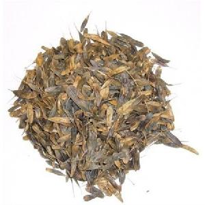 Ban Lan Gen  Dyer's Woad Chinese Traditional Herb Isatis Tinctoria Seeds