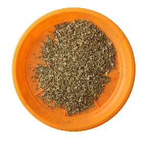 Fang Feng Protect Against the Wind Chinese Traditional Herb Saposhnikovia Divaricata Seeds