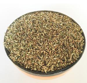 Niu Xi Chinese Traditional Herb Achyranthes Bidentata Seeds