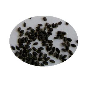 Xiang Qing Lan Chinese Traditional Herb Dracocephalum Moldavica L Seeds