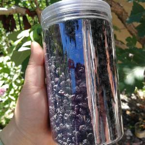 Chinese Organic Wild dried blueberry on Sales