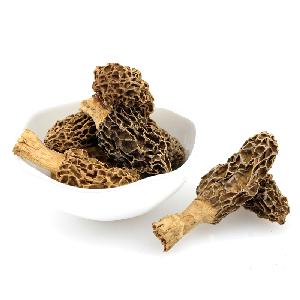 Chinese Morel Mushroom/  Dried  Morel