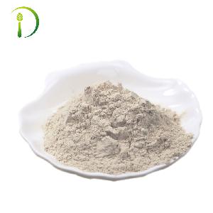 Wholesale Custom Rice Protein Powder Supplements