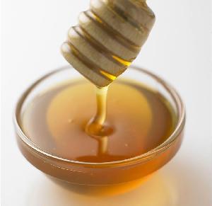 Moderate price bulk wild organic honey exporter