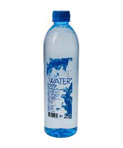 Packaged natural drinking water Turka Water 0.5 L
