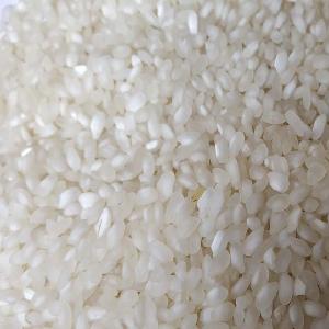 Short Grain Rice/ White Rice