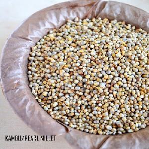 pearl millet seeds