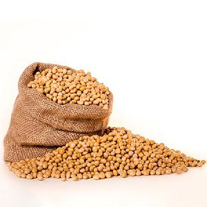High Quality Dried Best Nutrition Yellow Soybeans