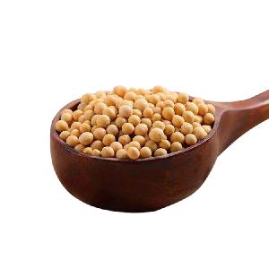 Factory Supply Wholesale Organic Soybeans